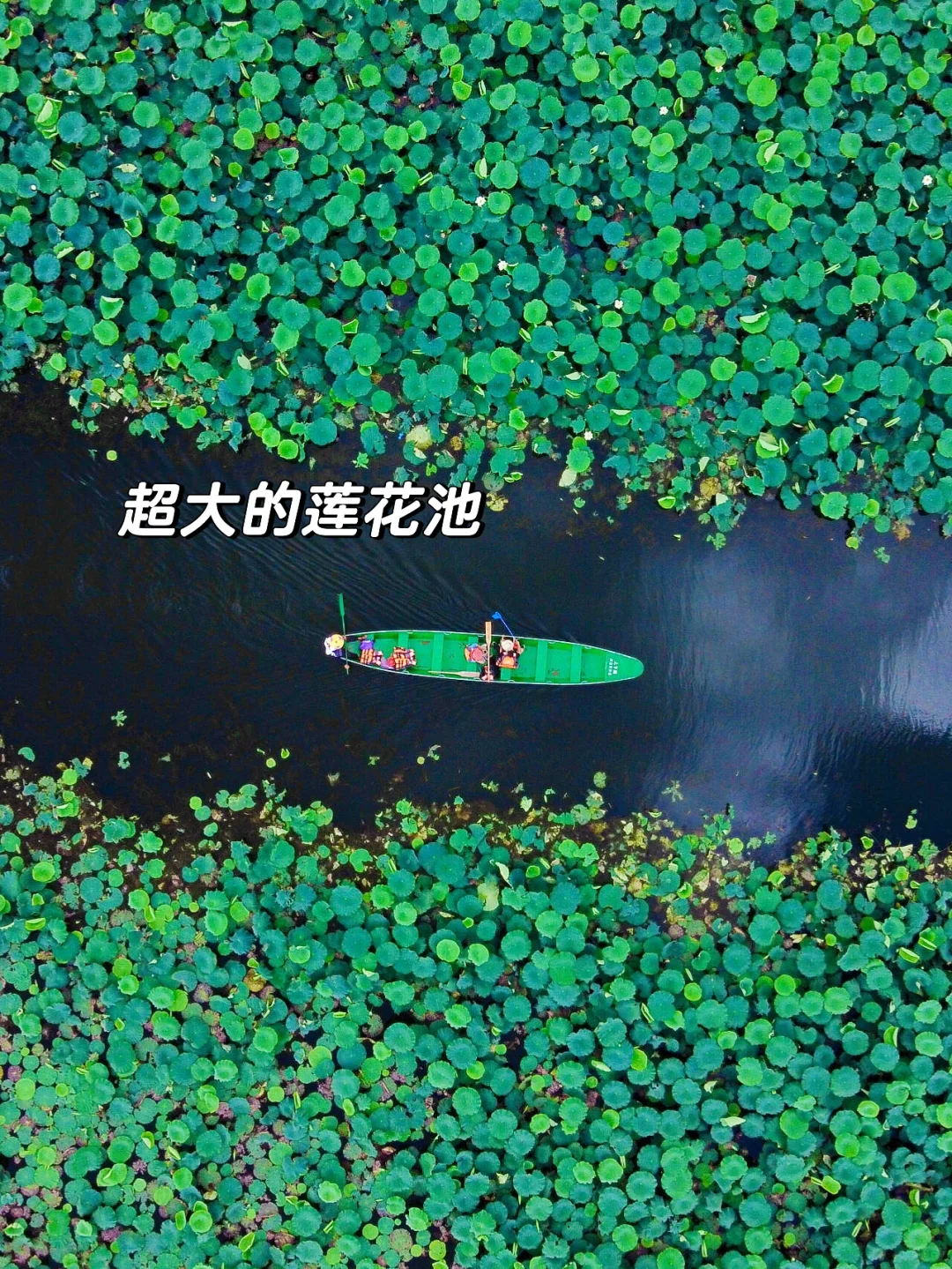 比起海南三亚，这才是夏天最佳避暑亲子城市