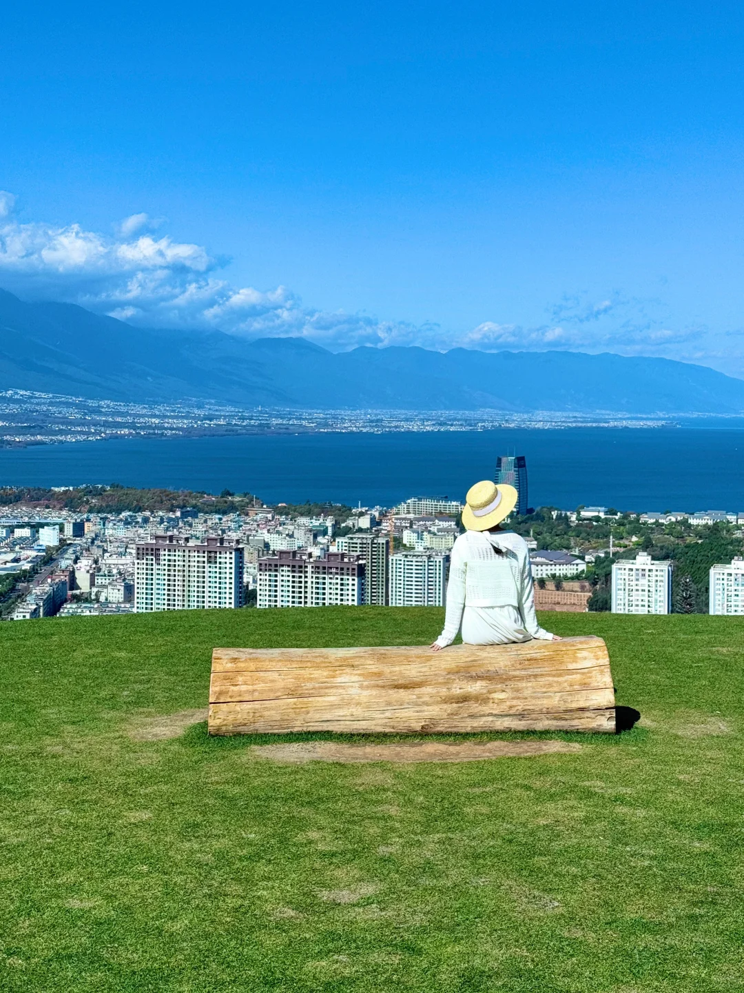 大理新西兰🌳🌳这就是live图的意义