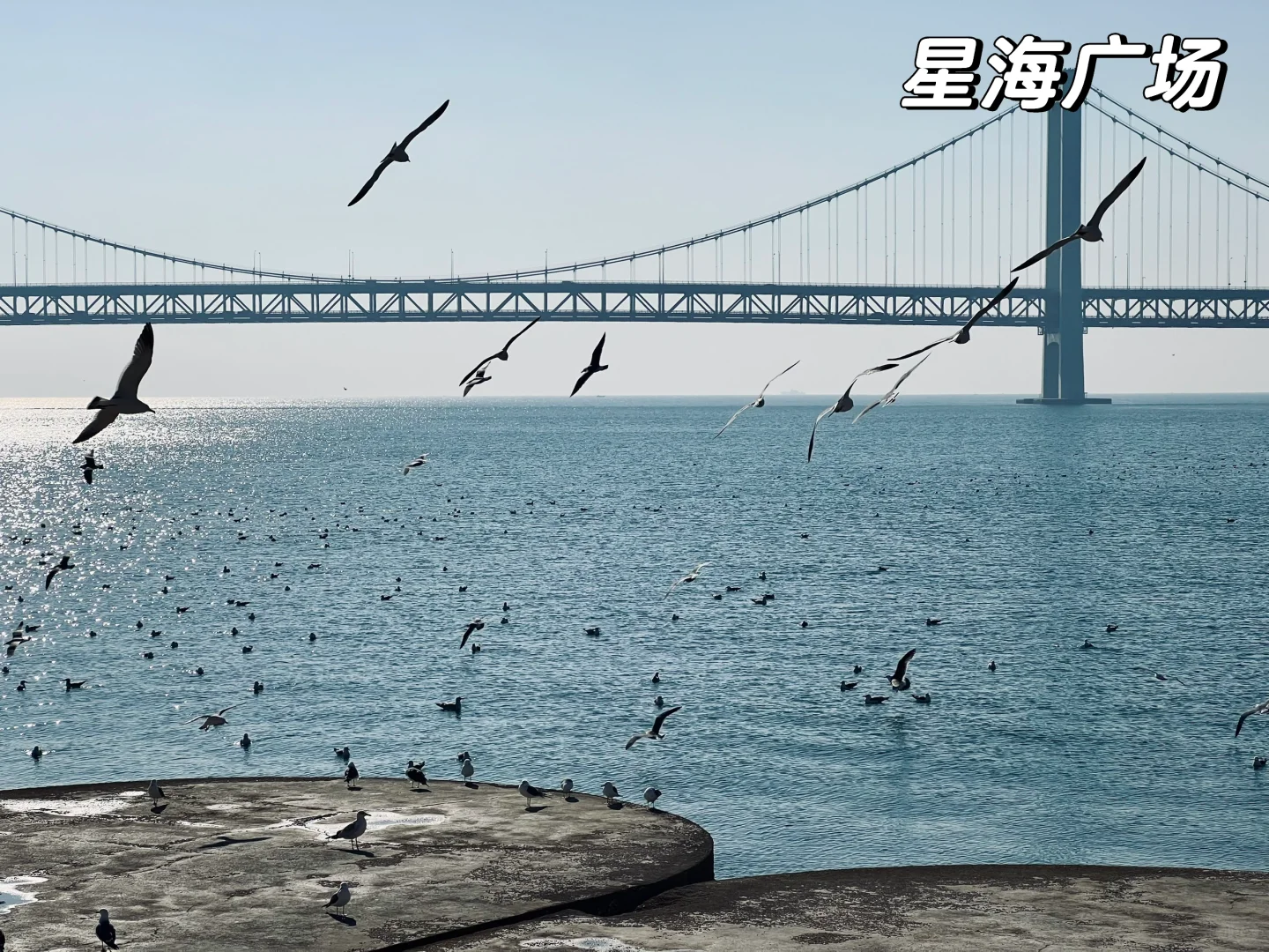 📍大连|北京-大连 3日旅游攻略