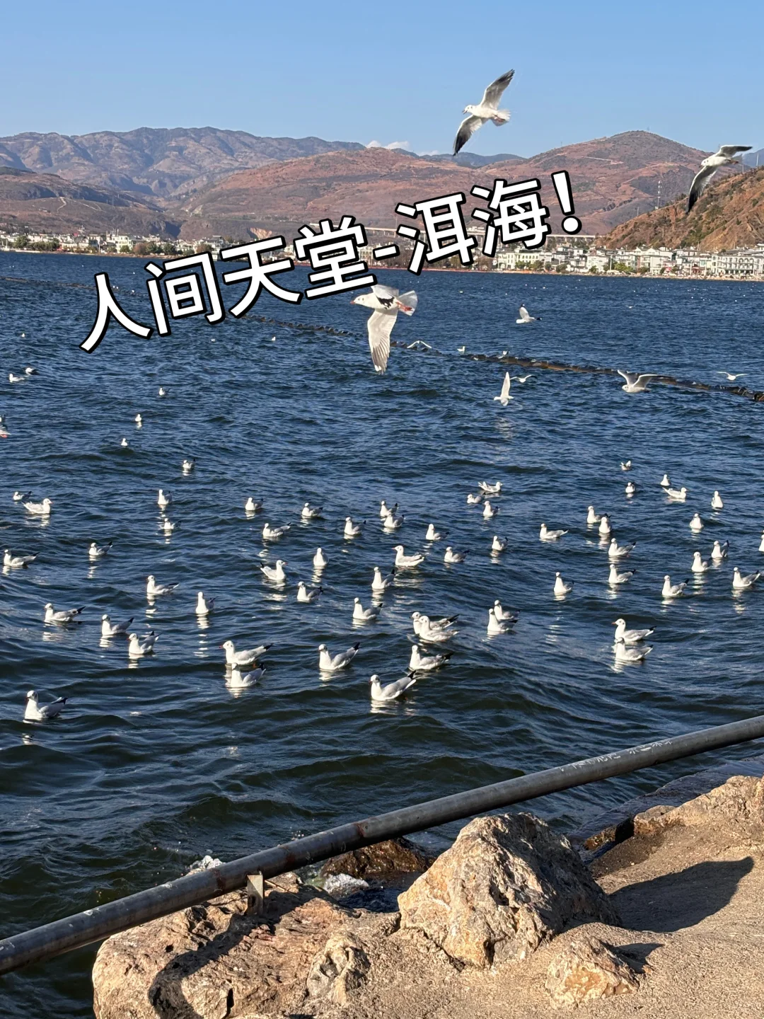 云南旅行攻略,建议4-5月淡季去,人少景美!