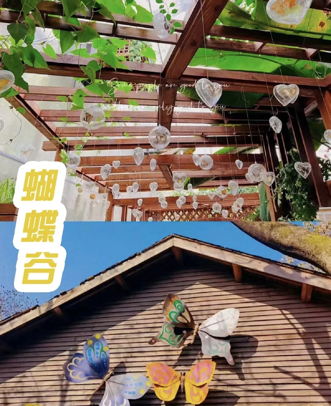 溧阳天目湖山水园景区