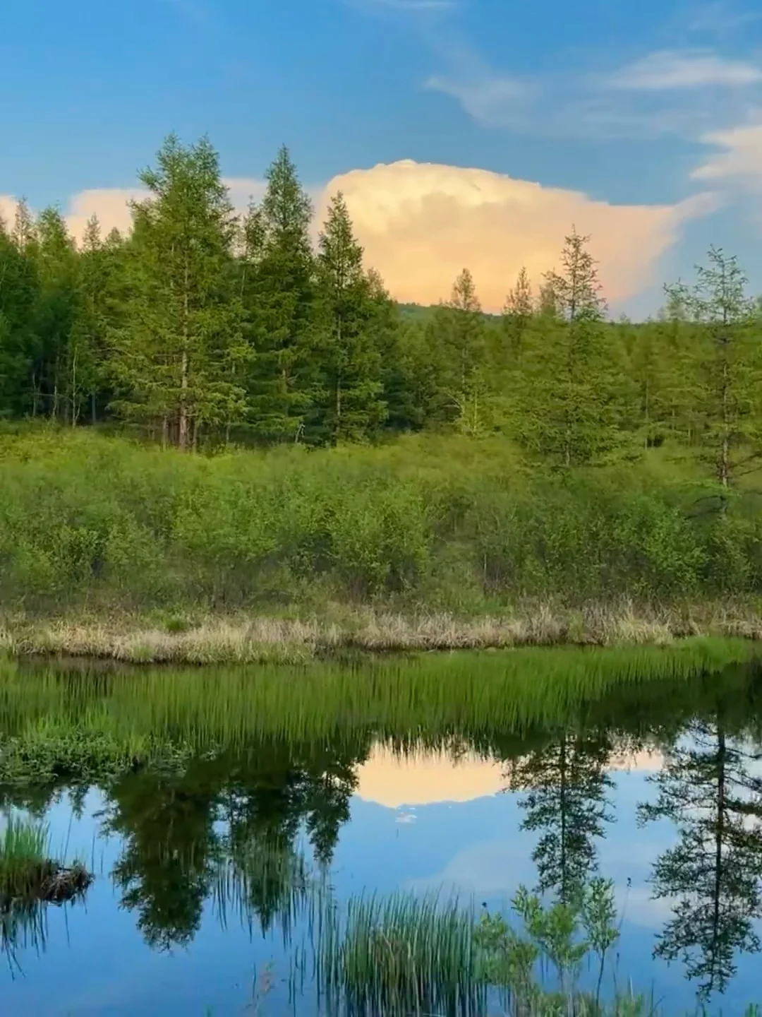 为什么我说5/6月才是乌兰布统的封神季❓