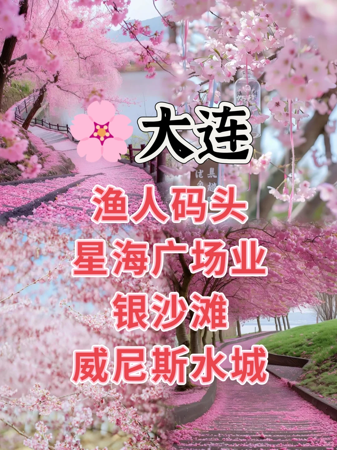 🌍 走遍华夏·国内十大热门城市深度游攻略