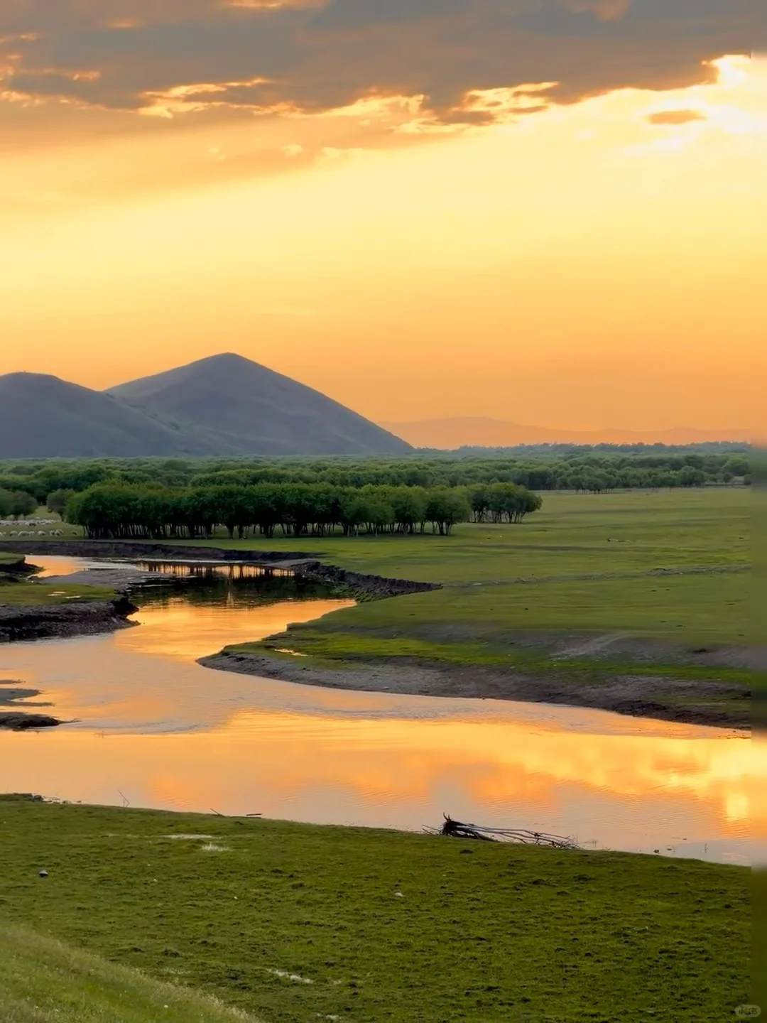 为什么我说5/6月才是乌兰布统的封神季❓