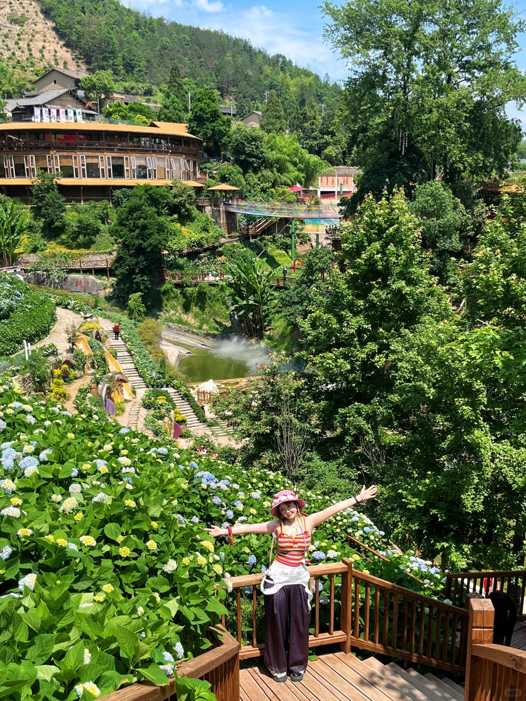 温州泰顺小众打卡景点，绣球花海绝了绝了