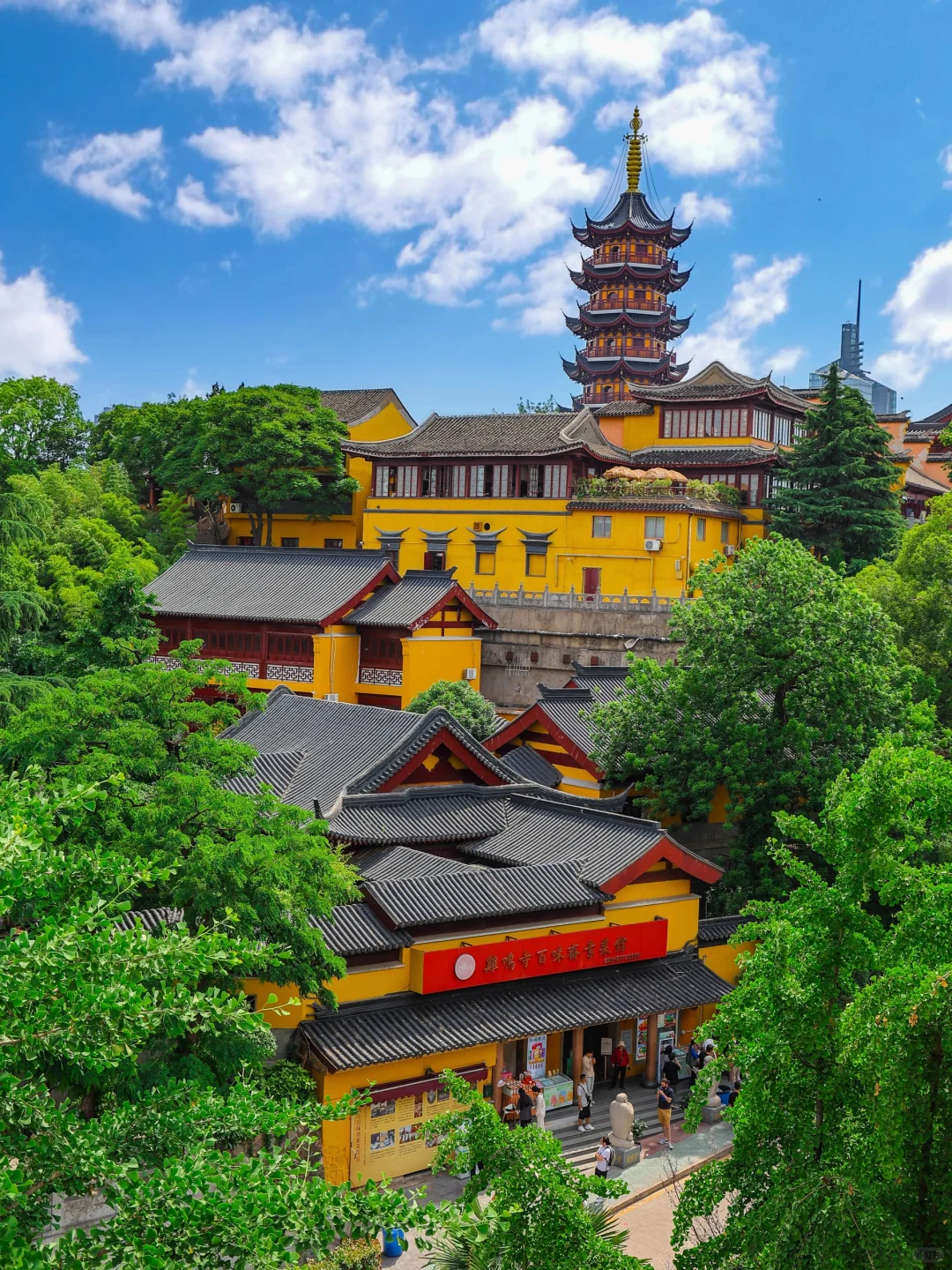 为了这🔟张照片，我特意飞了一趟南京‼️