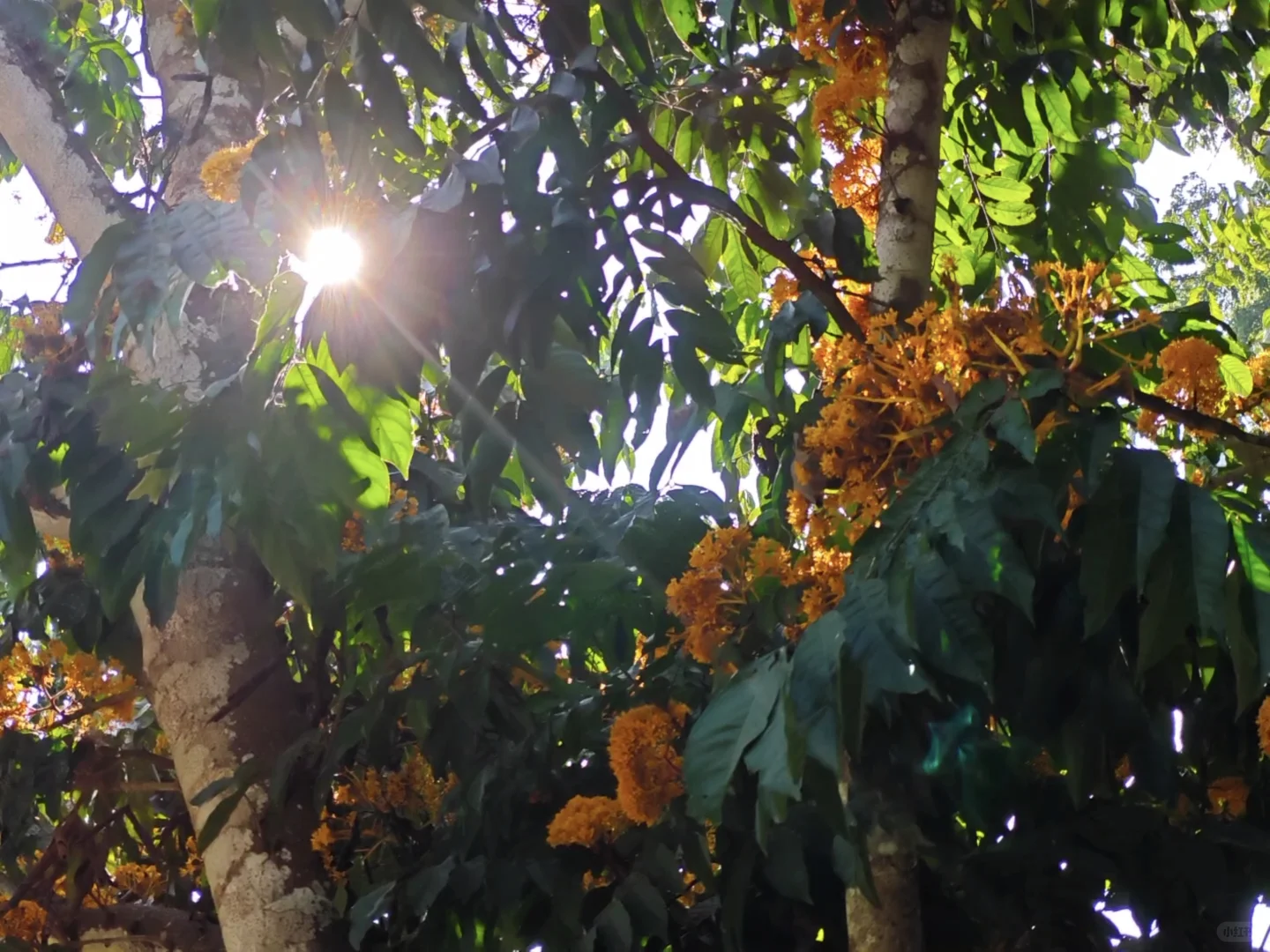 盘一盘西双版纳