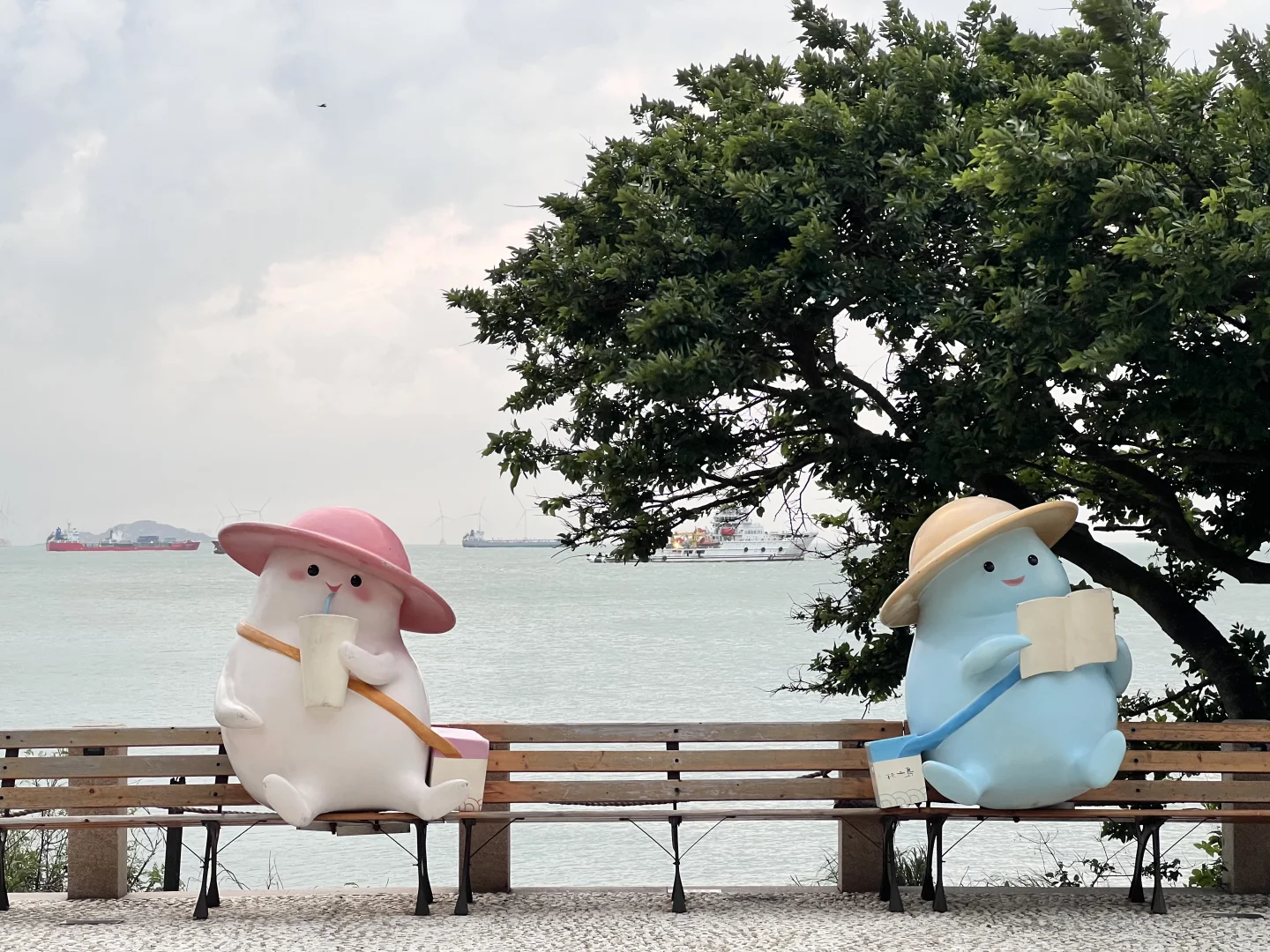 广东小众海岛🏝️真的很美！（附攻略）