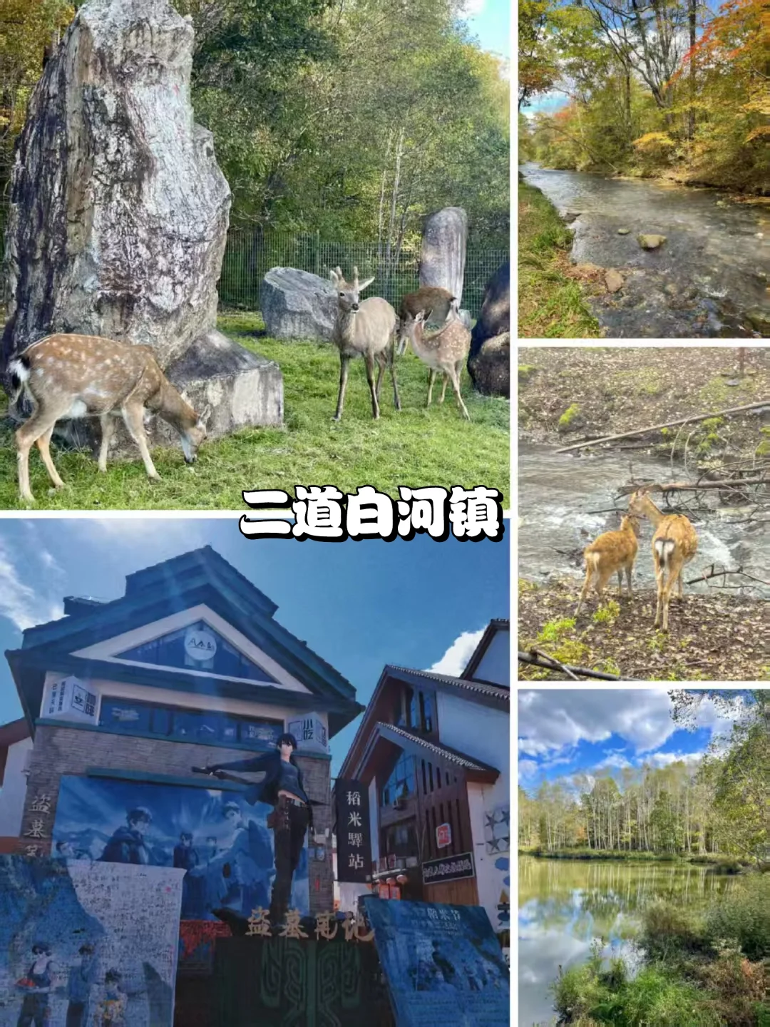 吉林三城5天4晚攻略|全程不绕路