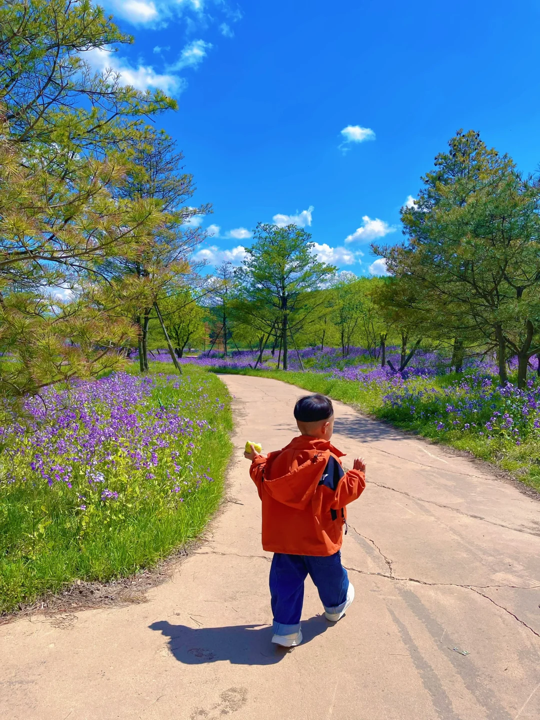 掉进了宫崎骏的画卷里🖼️