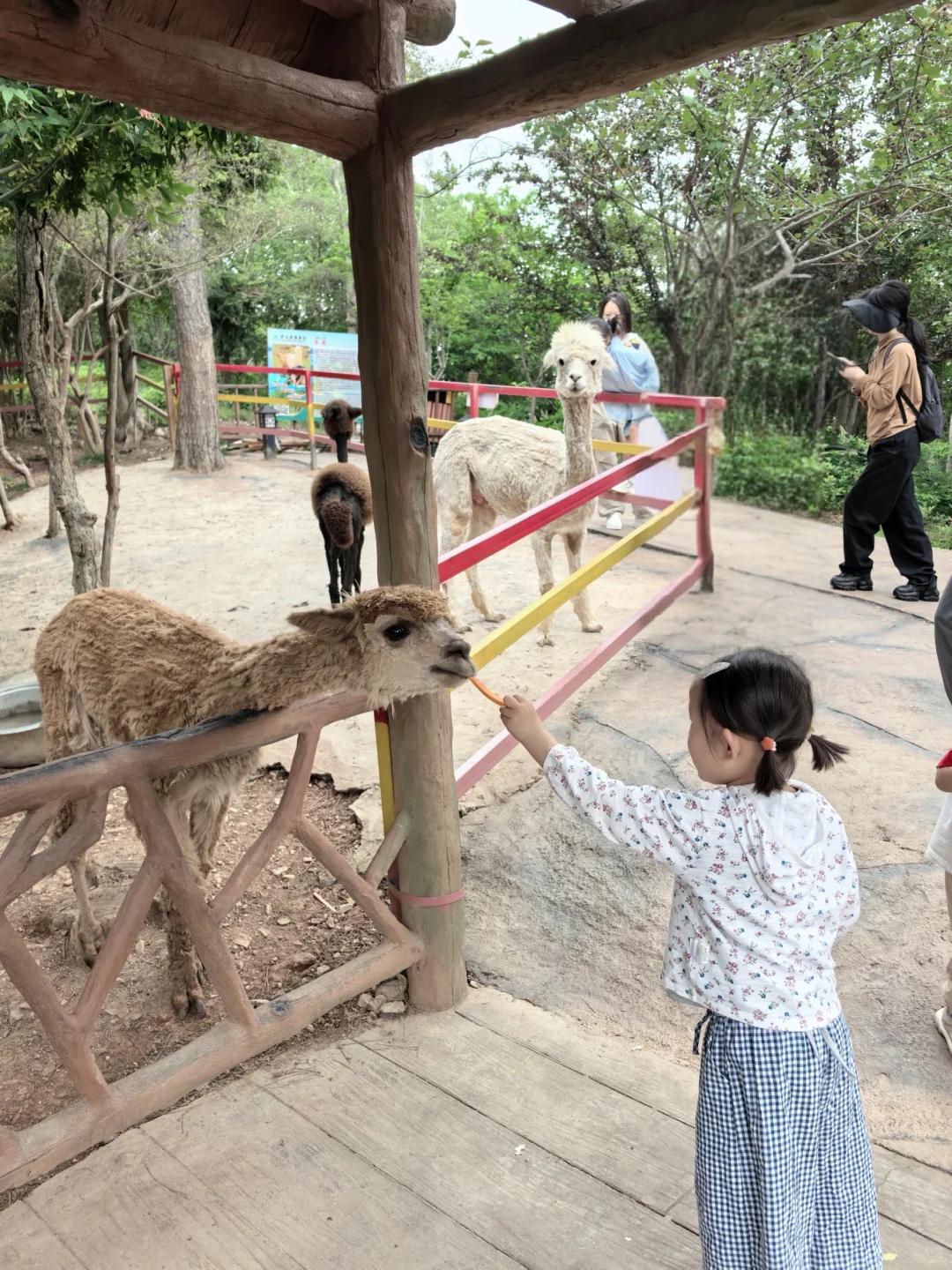 被低估的宝藏景点|庐山西海一日游玩攻略