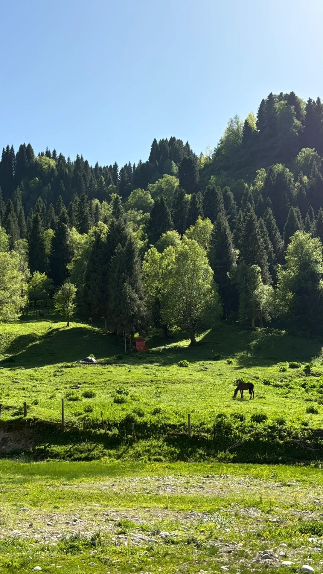 5.14的恰西和库尔德宁大晴天