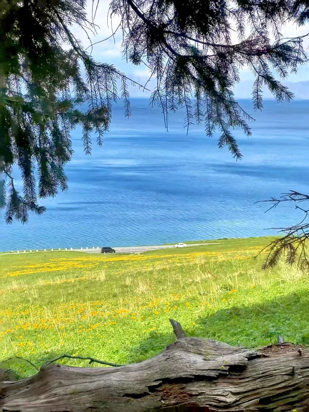 别被网红骗了！赛里木湖最值得拍的其实是这