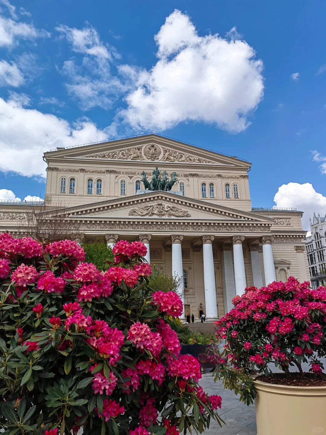 5.14 被莫斯科大剧院的茶花美到啦