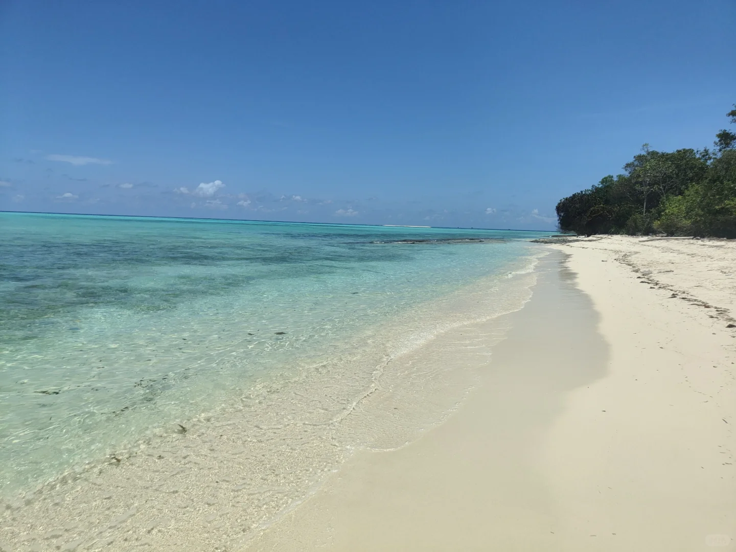 马来西亚12天4250元(仙本那亚庇行程攻略)