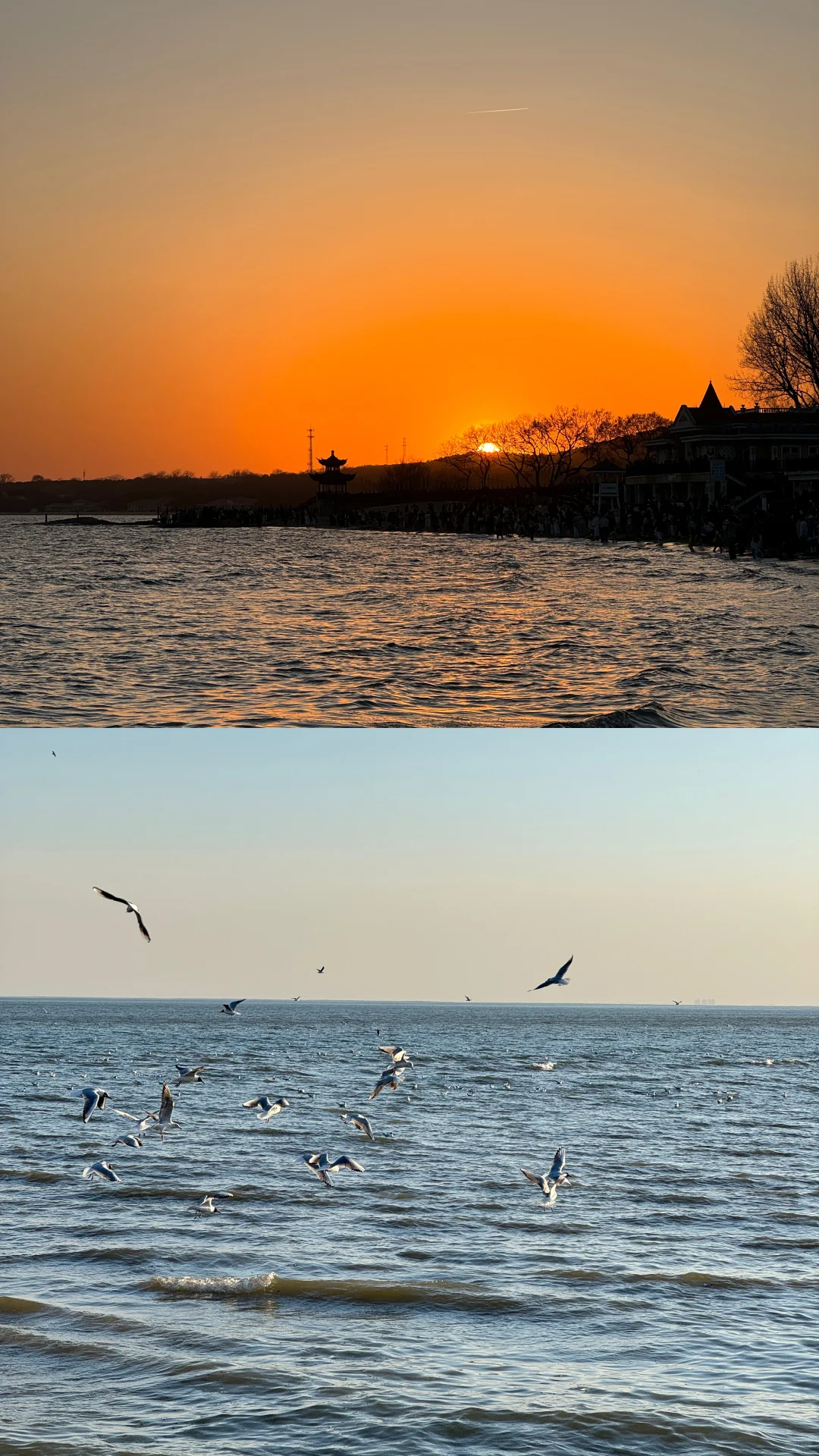 一天攻略阿那亚！附拍照攻略📜直接抄作业！