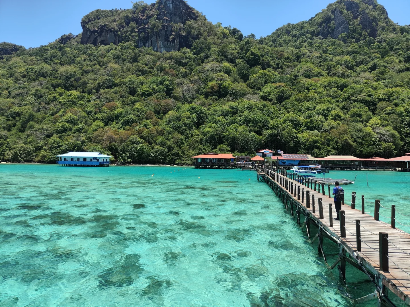 马来西亚12天4250元(仙本那亚庇行程攻略)