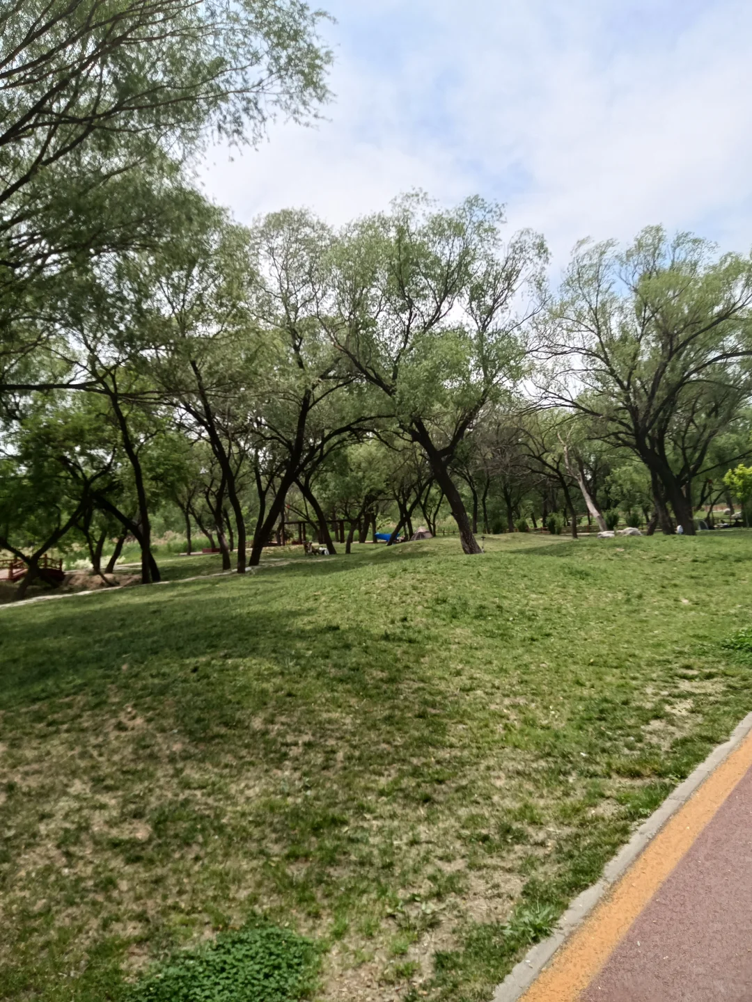 春末夏初的沁河郊野