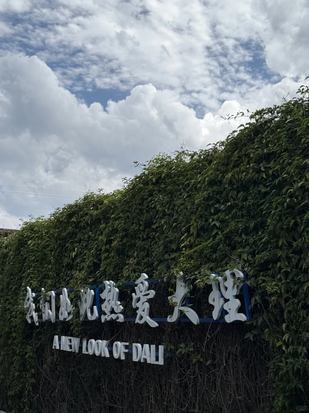 大理马拉松｜参赛选手实现了大理景区自由