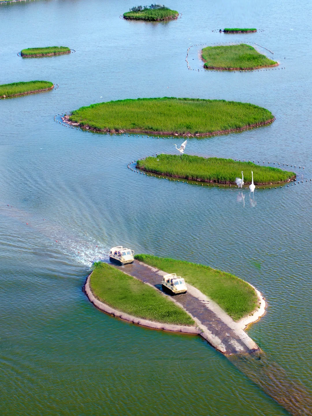 发朋友圈被问爆了❗️真没出国❗️就在河北🗺️