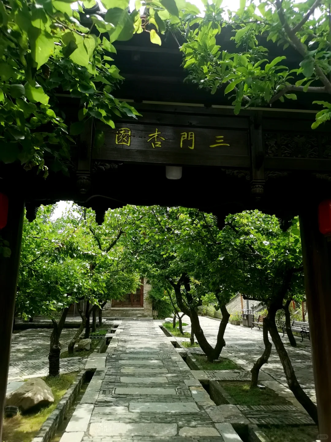 洛阳百公里以内小众景点，人少景美