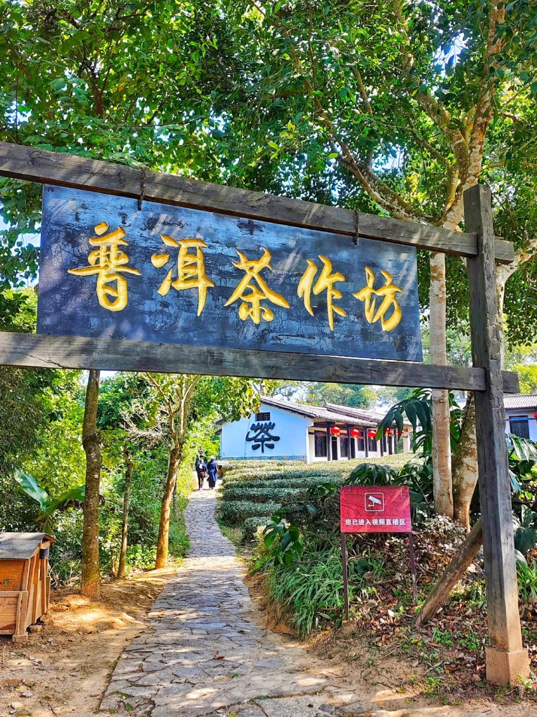 🌿比丽江恬淡，躲进北回归线的绿野仙踪