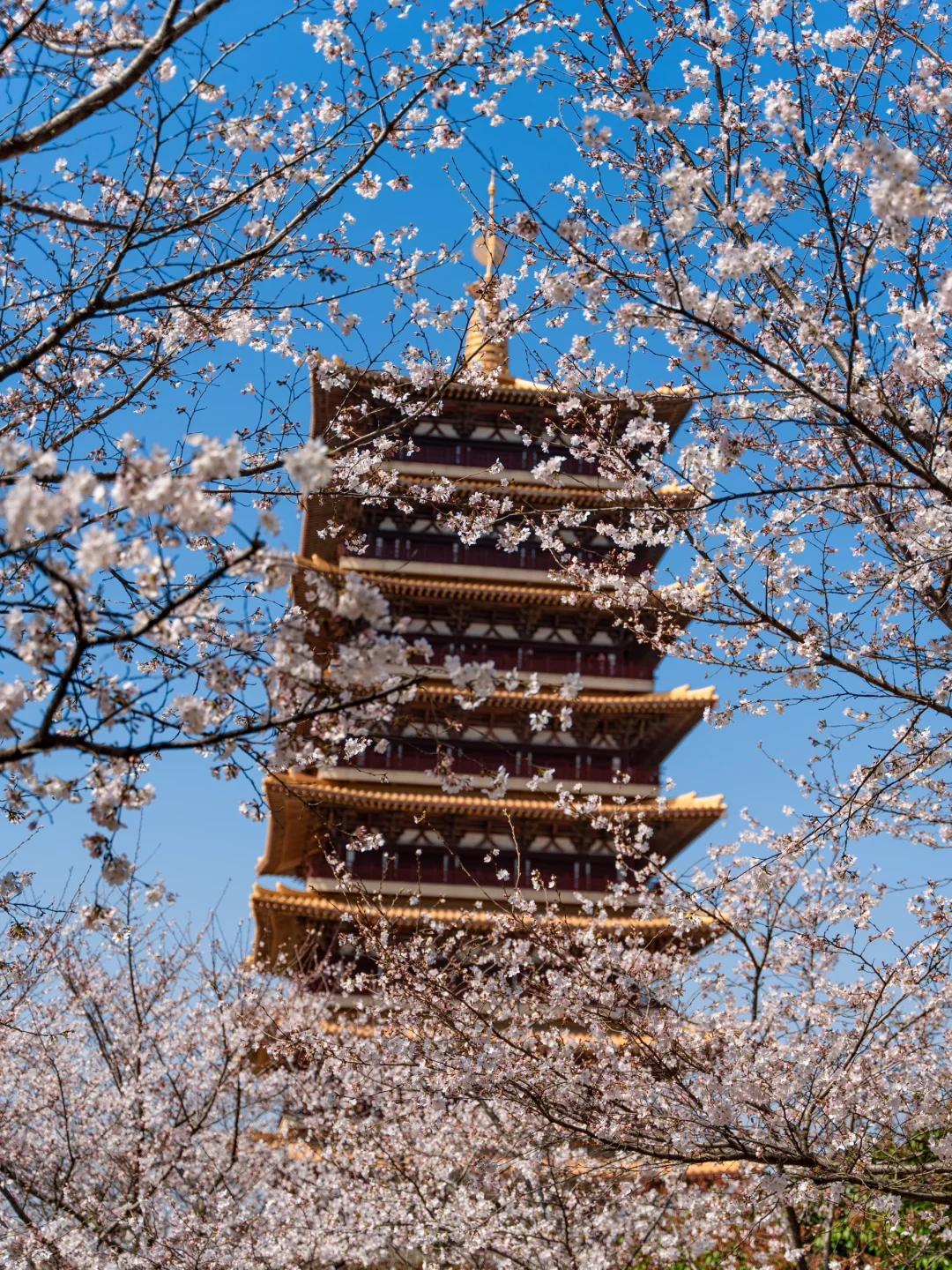 南京牛首山｜被问爆的佛国秘境！