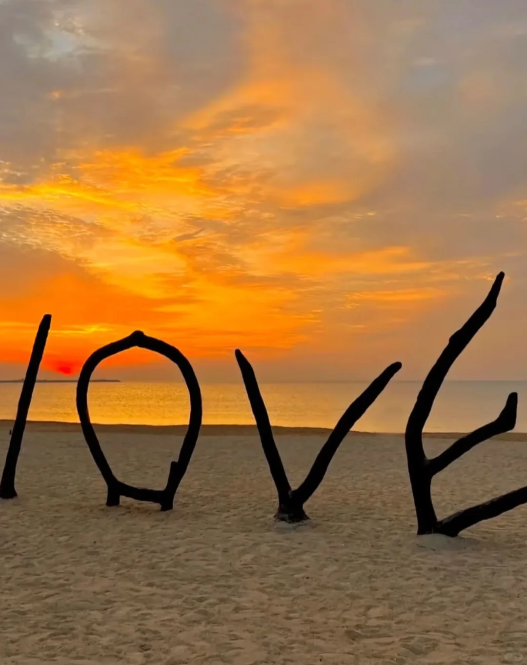 日照已回‼️能帮一个是一个……收藏备用✅