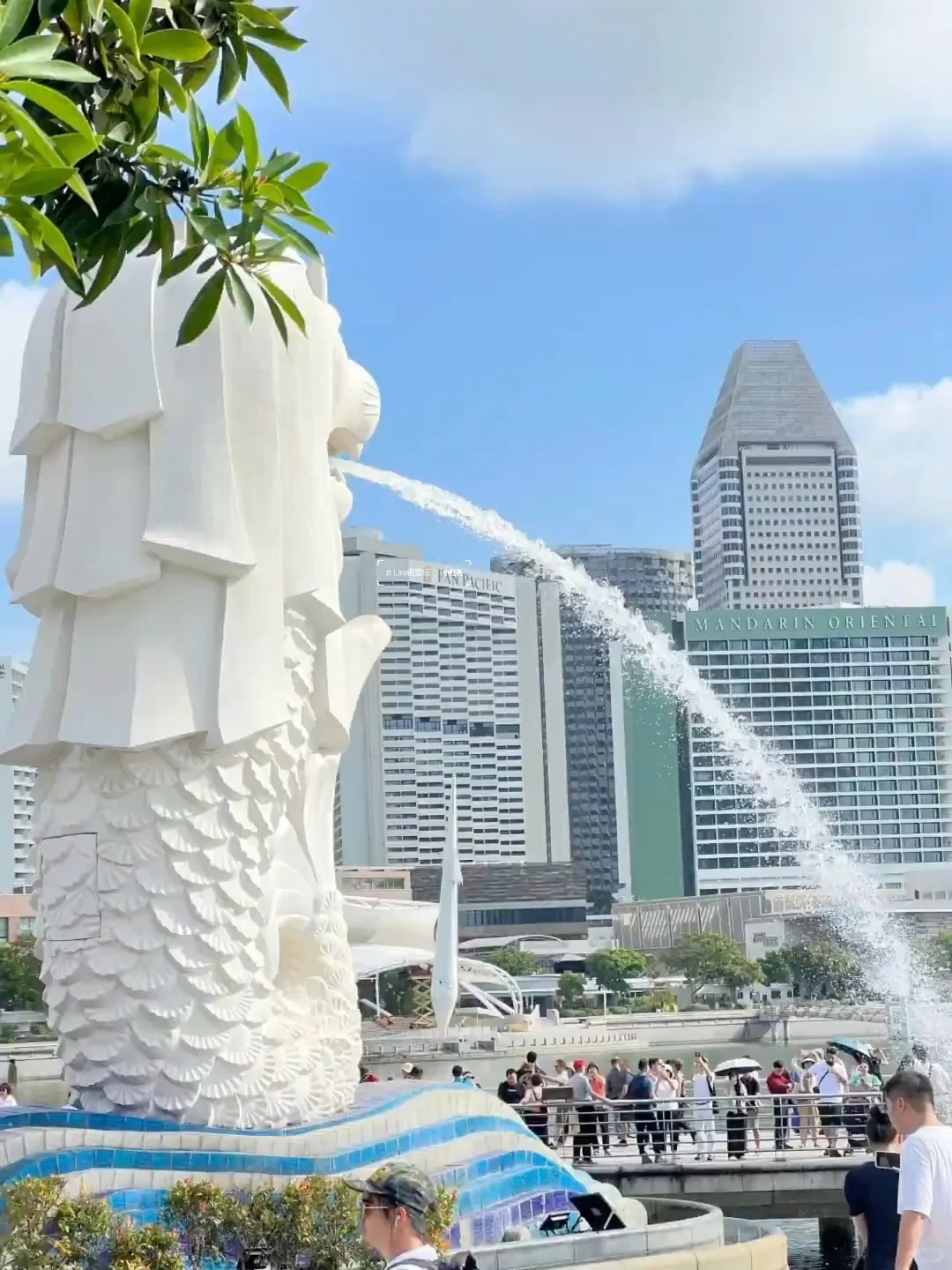 4.28📍新加坡已回，说点不一样的。。。