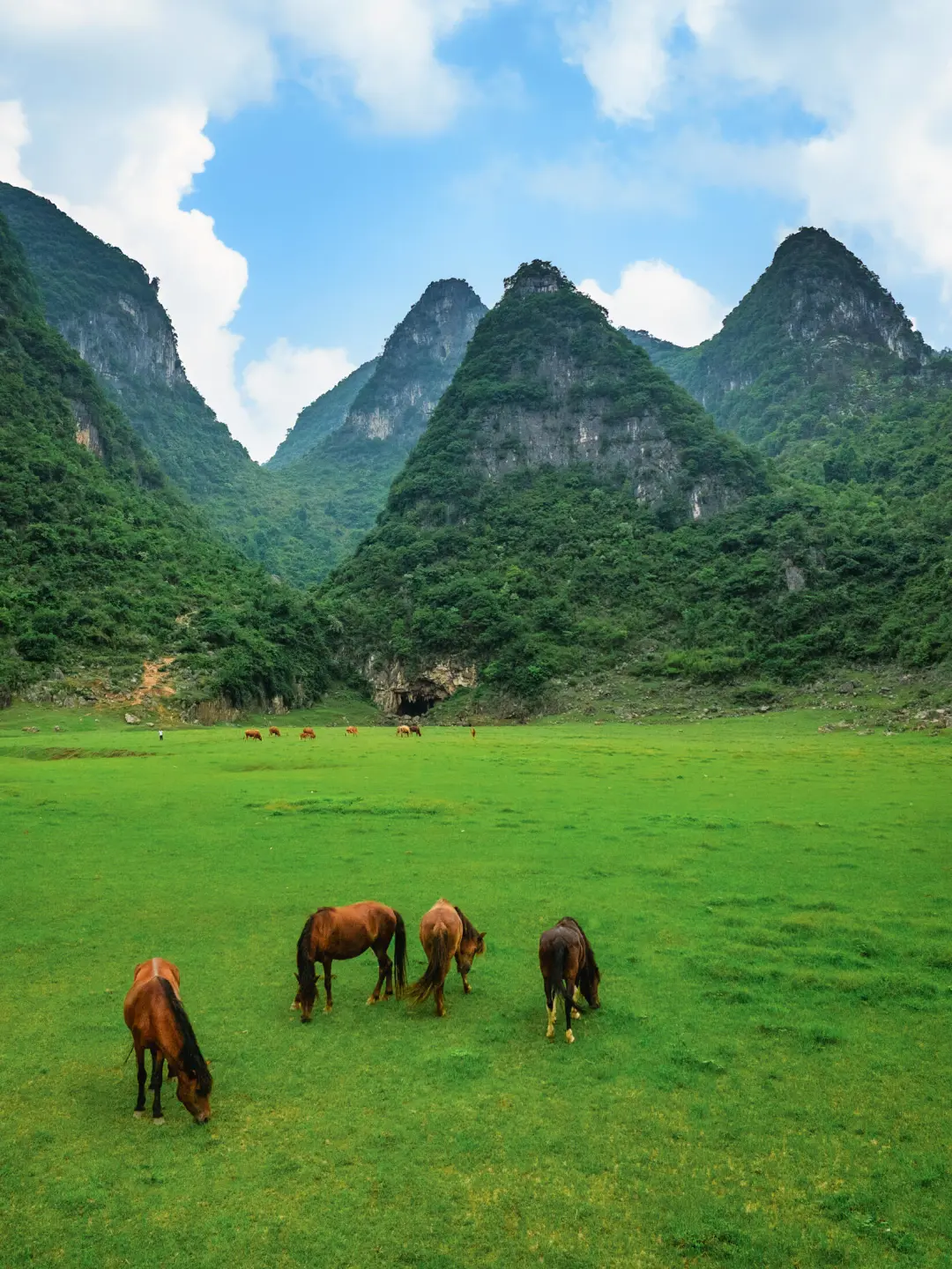有山有水的地方，心就定住了