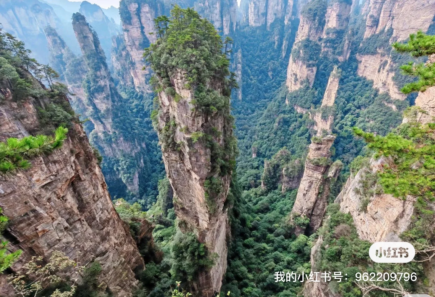 张家界国家森林公园