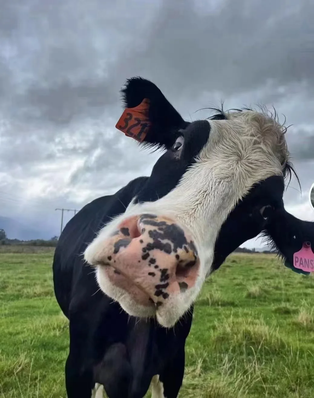 五一假期呼和浩特怎么玩