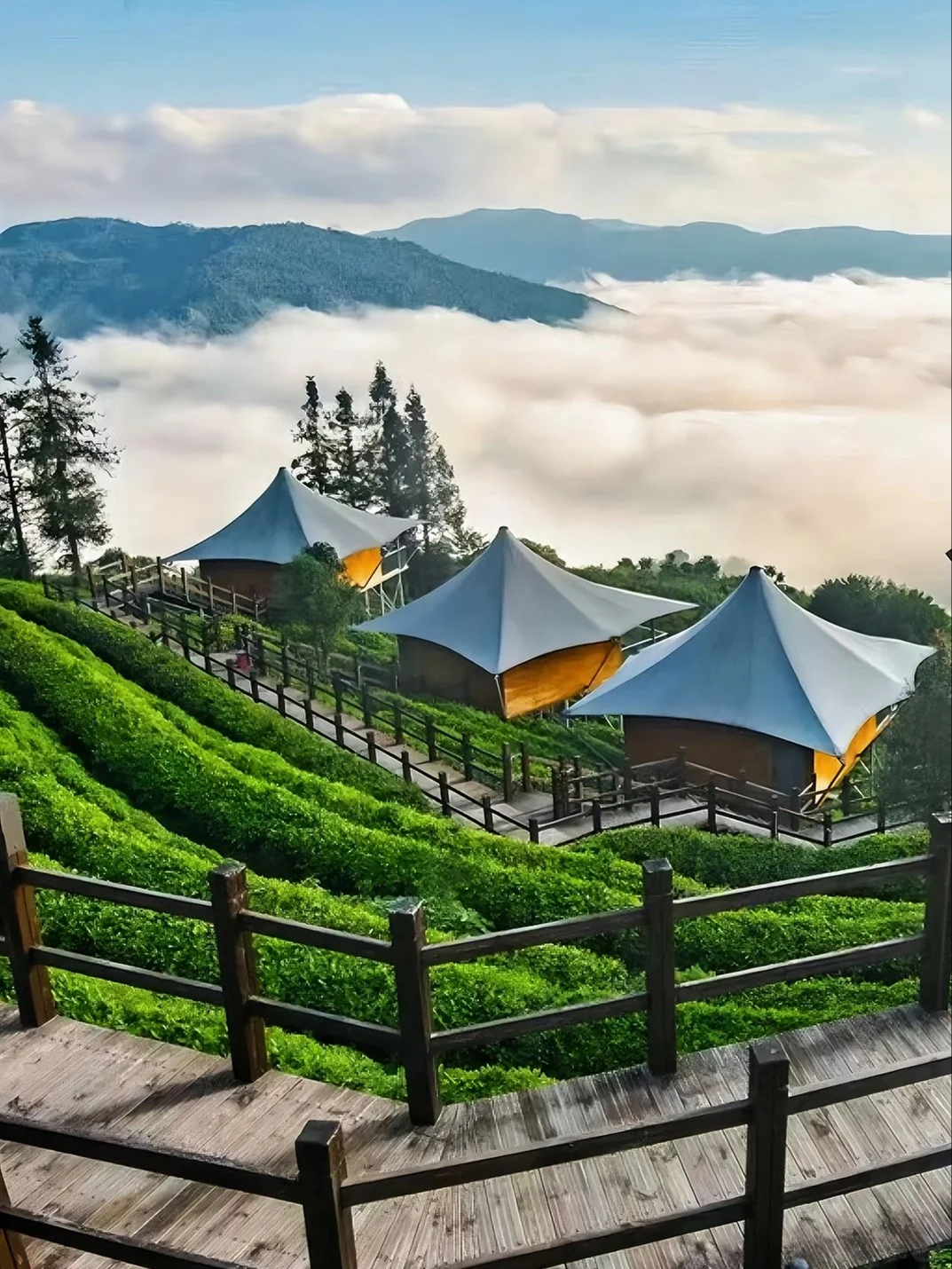 🌿比丽江恬淡，躲进北回归线的绿野仙踪