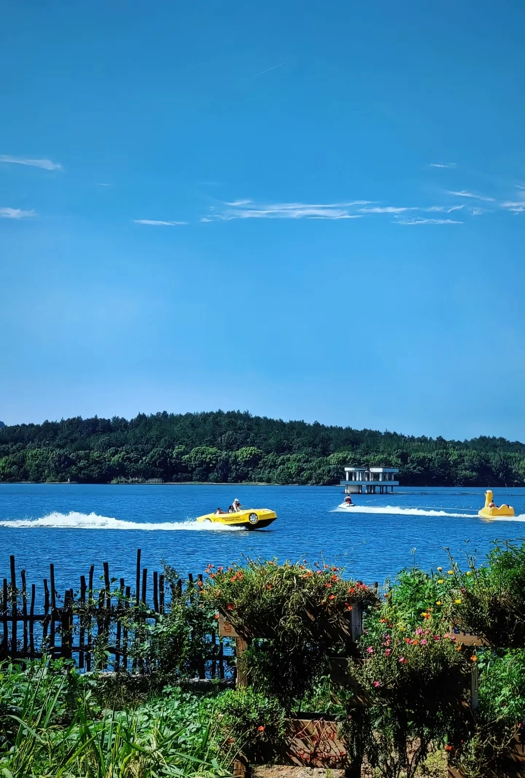 本地人总结❗南山竹海&天目湖神仙旅行攻略