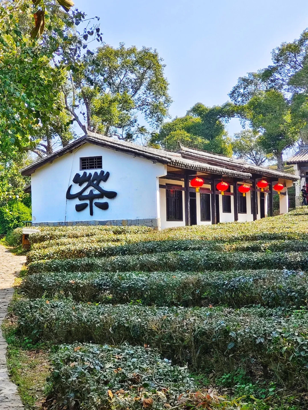 🌿比丽江恬淡，躲进北回归线的绿野仙踪