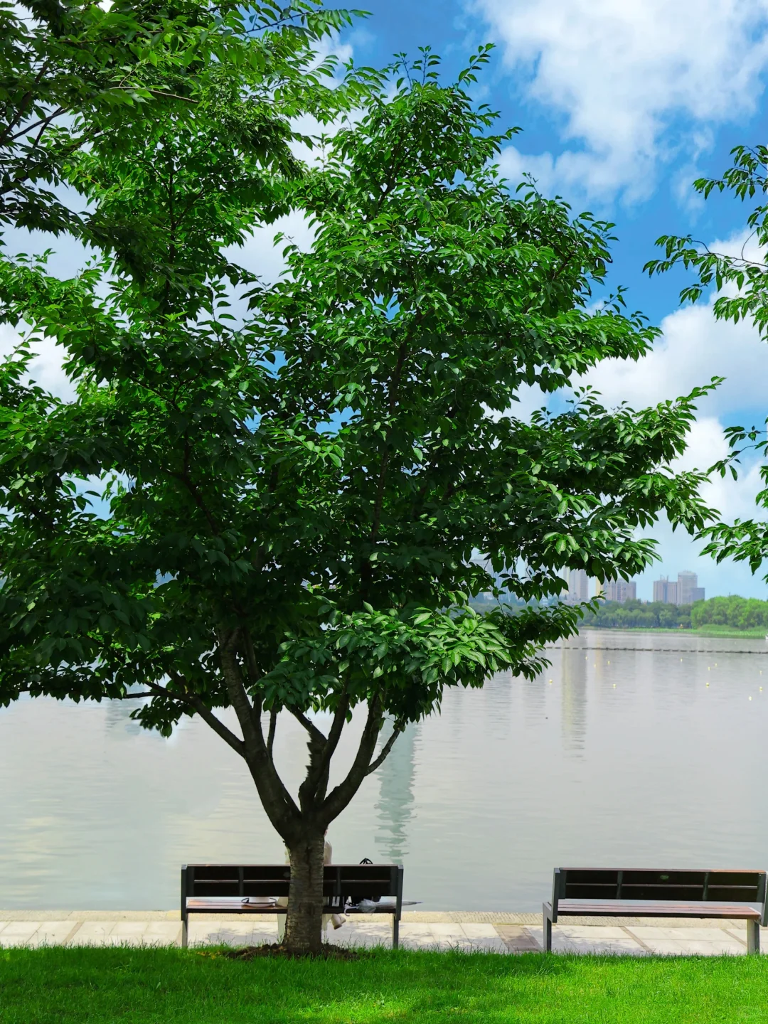 为了这🔟张照片，我特意飞了一趟南京‼️