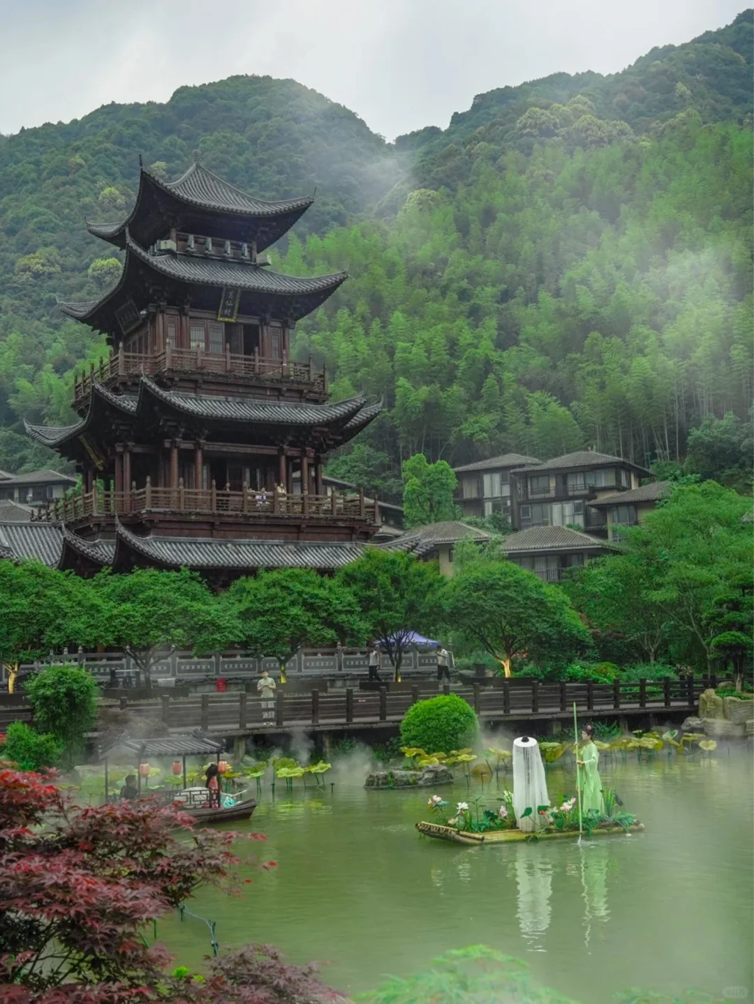 人间仙境葛仙村，体验手可摘星辰✨