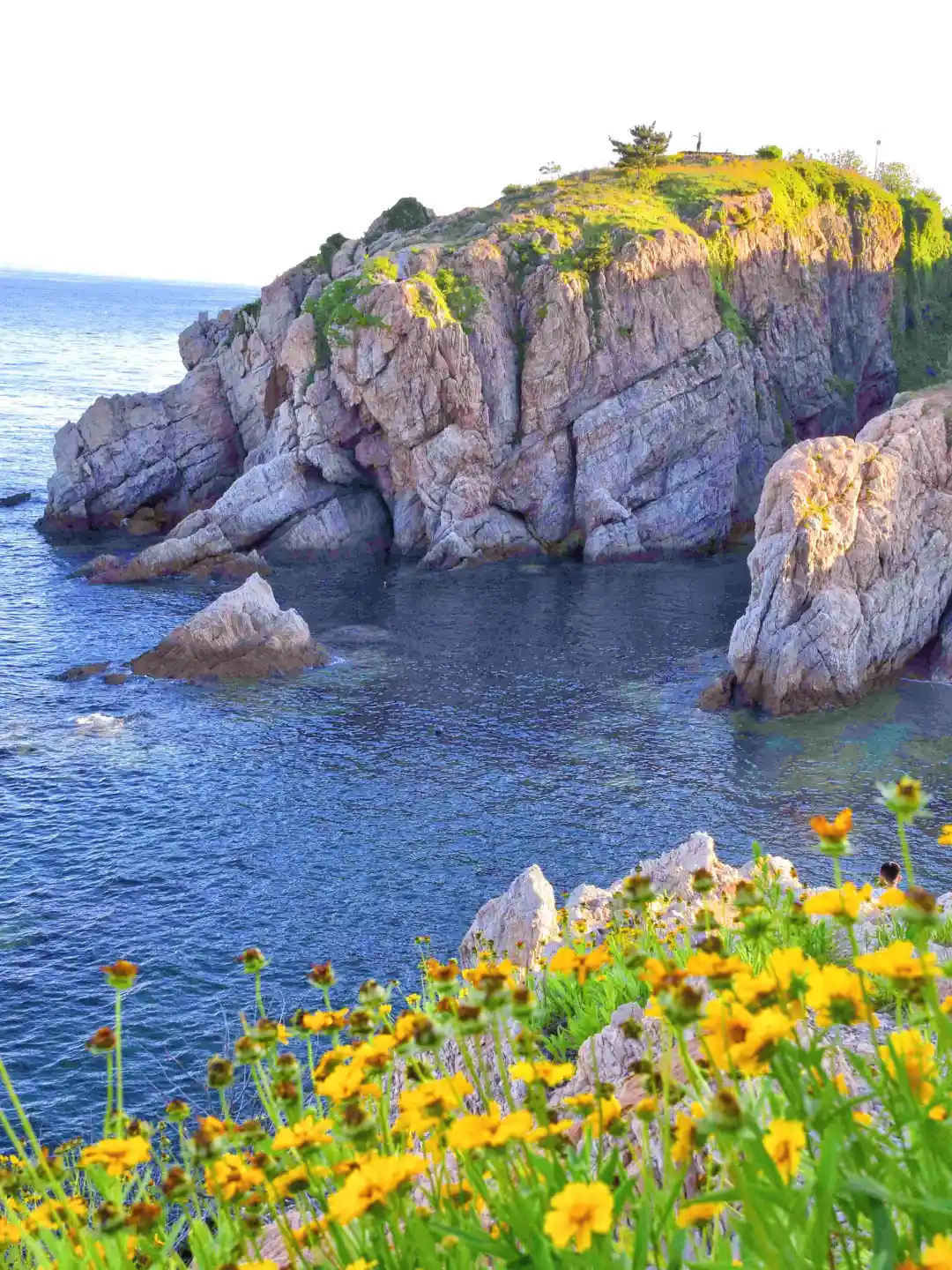 “以为威海已经够美了，直到去了大连…”