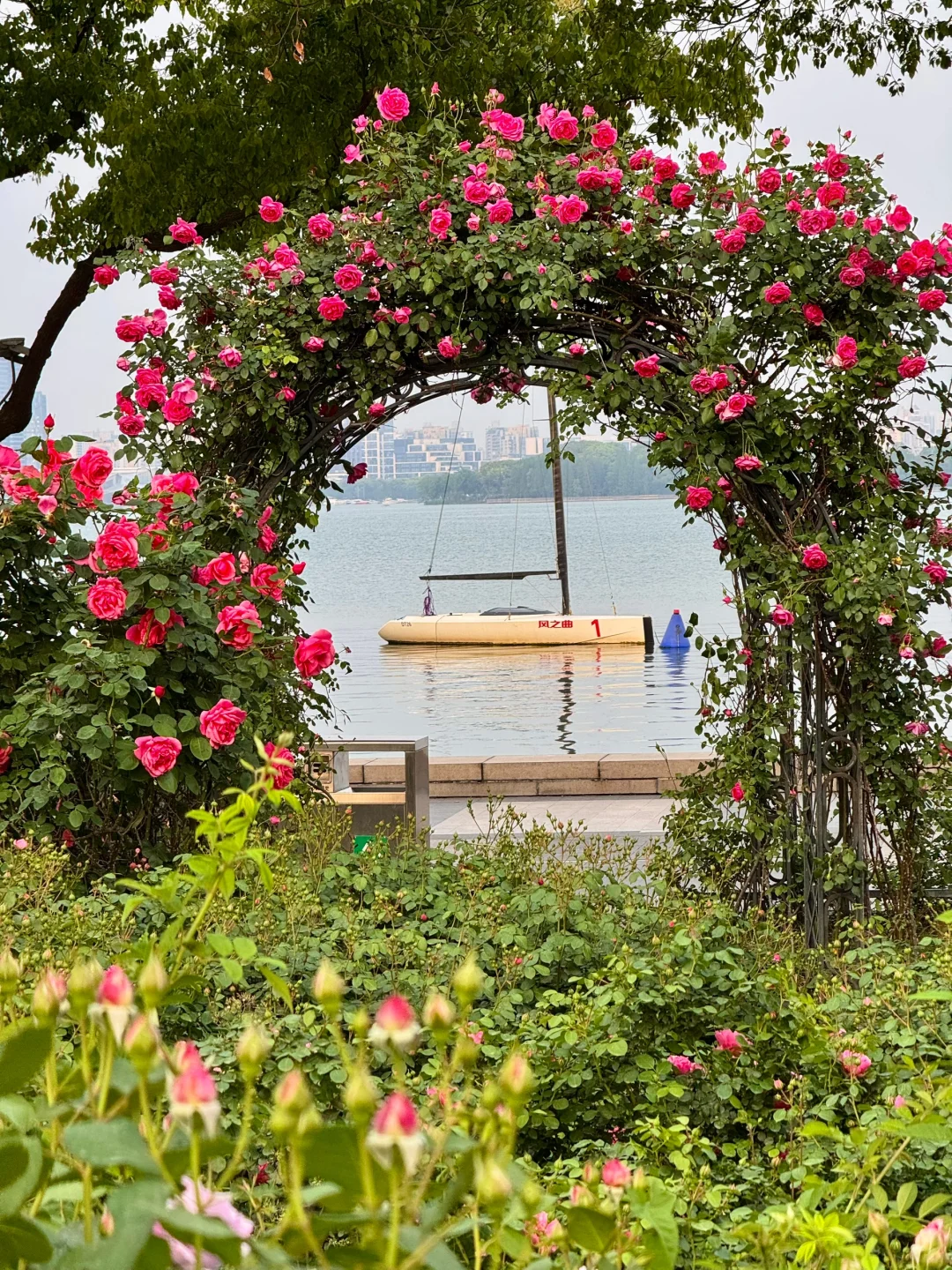 苏州被问爆的1️⃣5️⃣个机位❗️发pyq直接赢麻