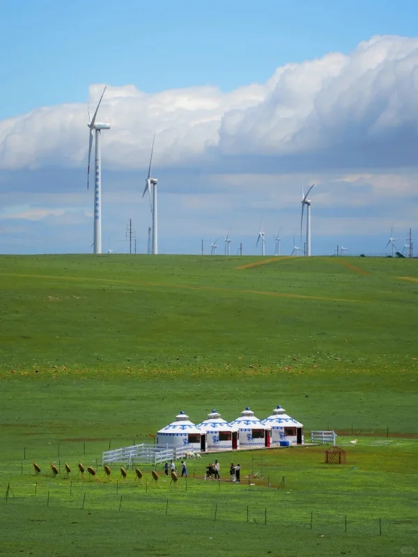 五一假期呼和浩特怎么玩