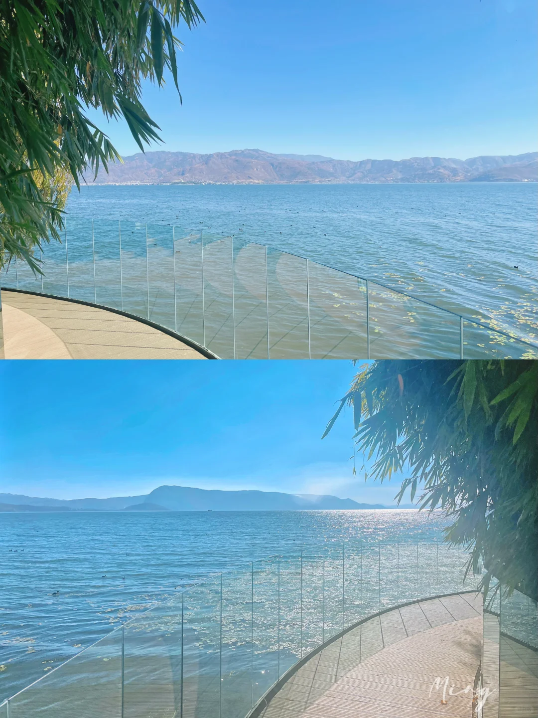 严重被低估❗️洱海旅拍人少出片宝藏公园🏞️