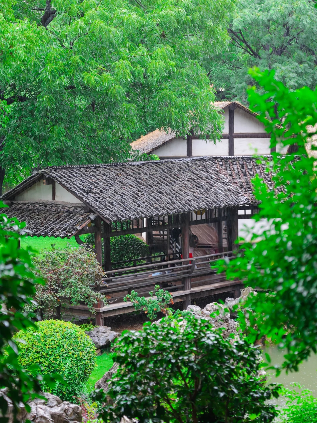 为了这🔟张照片，我特意飞了一趟南京‼️