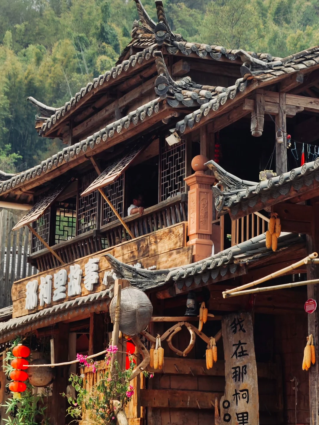 🌿比丽江恬淡，躲进北回归线的绿野仙踪