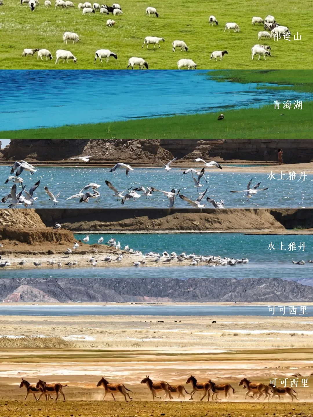 终于到我发西北调色盘啦||附攻略