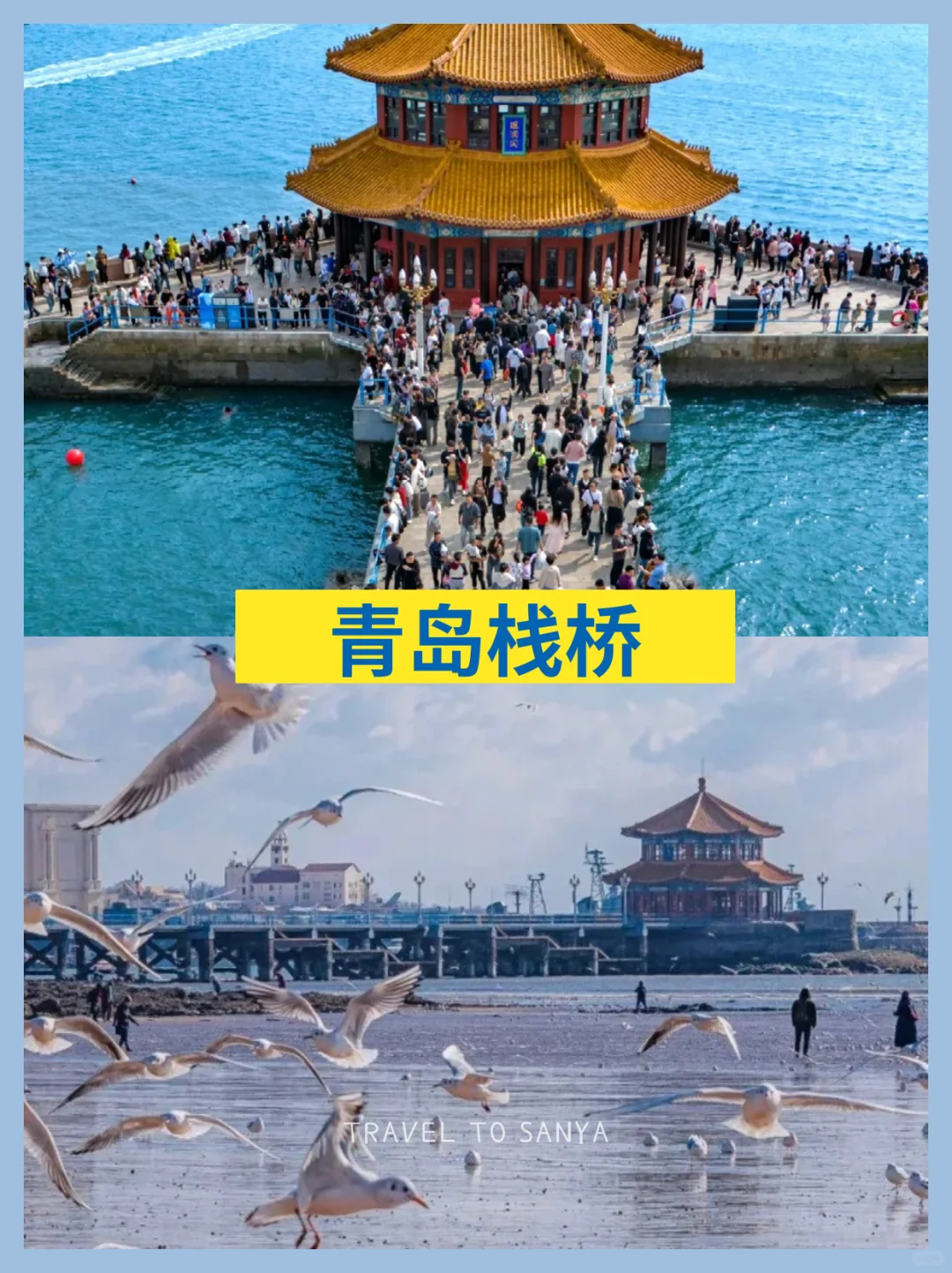 💨布鲁维斯号旅拍！双旅拍海景房我锁死