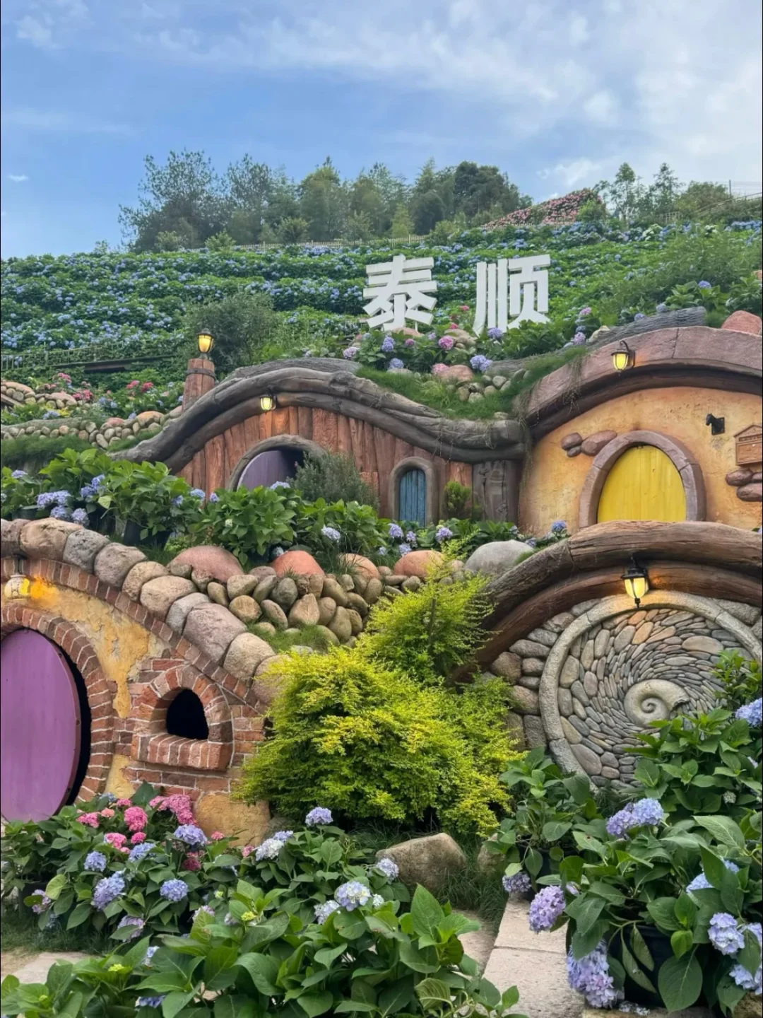 温州泰顺小众打卡景点，绣球花海绝了绝了