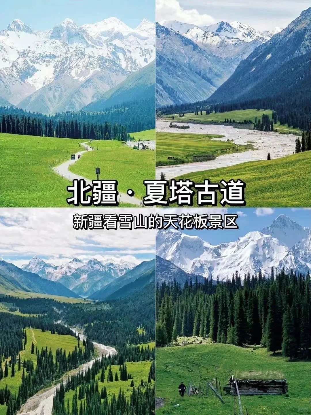 探秘北疆仙境,领略天山之巅的绝美风光!