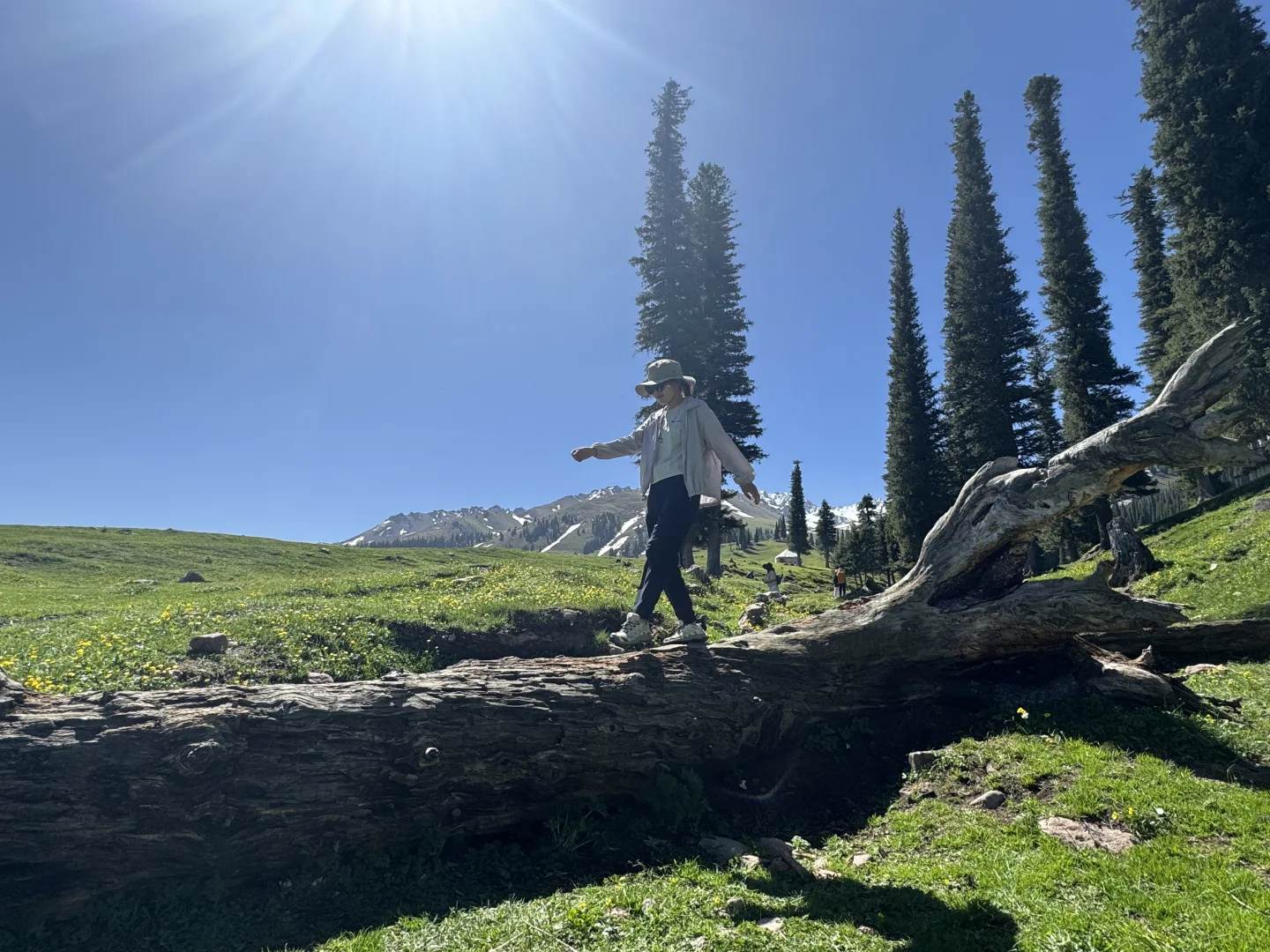 2025.05.14📍那拉提