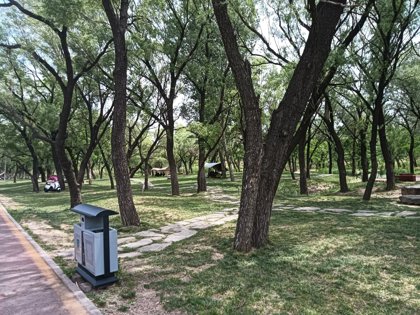 春末夏初的沁河郊野