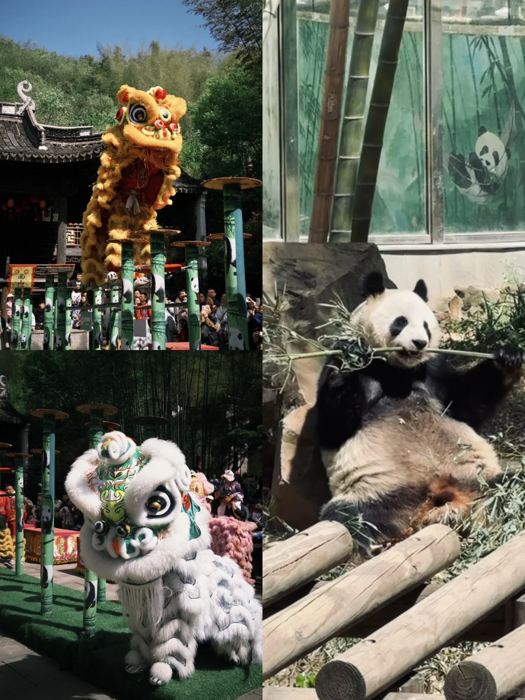 溧阳｜两天一夜｜人均600｜好玩不累旅游攻略🎋